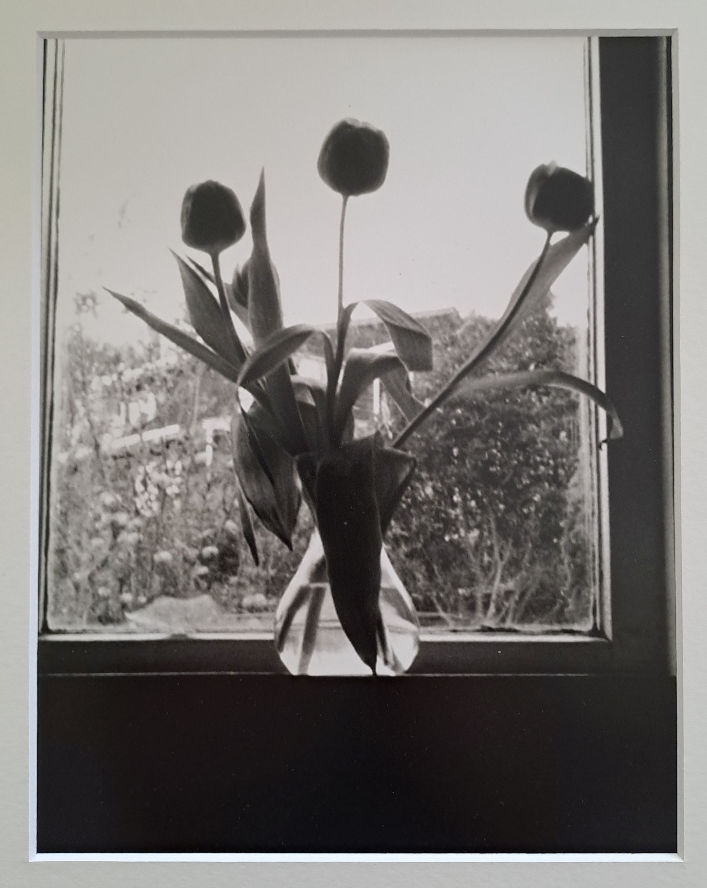 Black & White photograph.